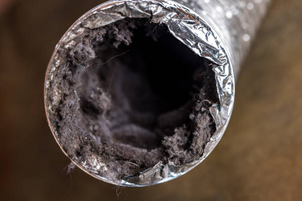Best HVAC Air Duct Cleaning  in Old Bethpage, NY